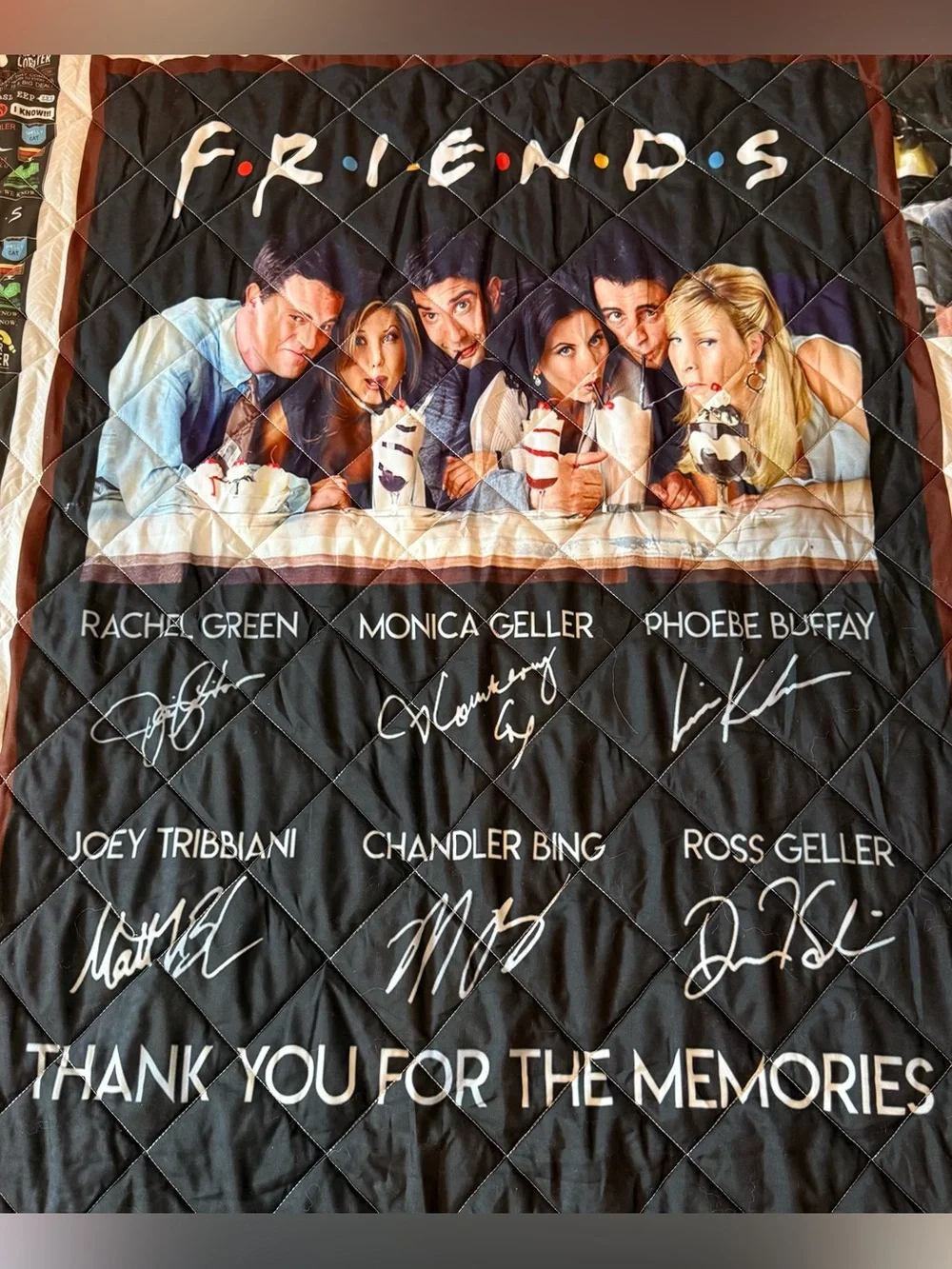 Vintage Friends TV Series Quilted Filled Blanket Throw 56x71 Gray Back Y2K Decor